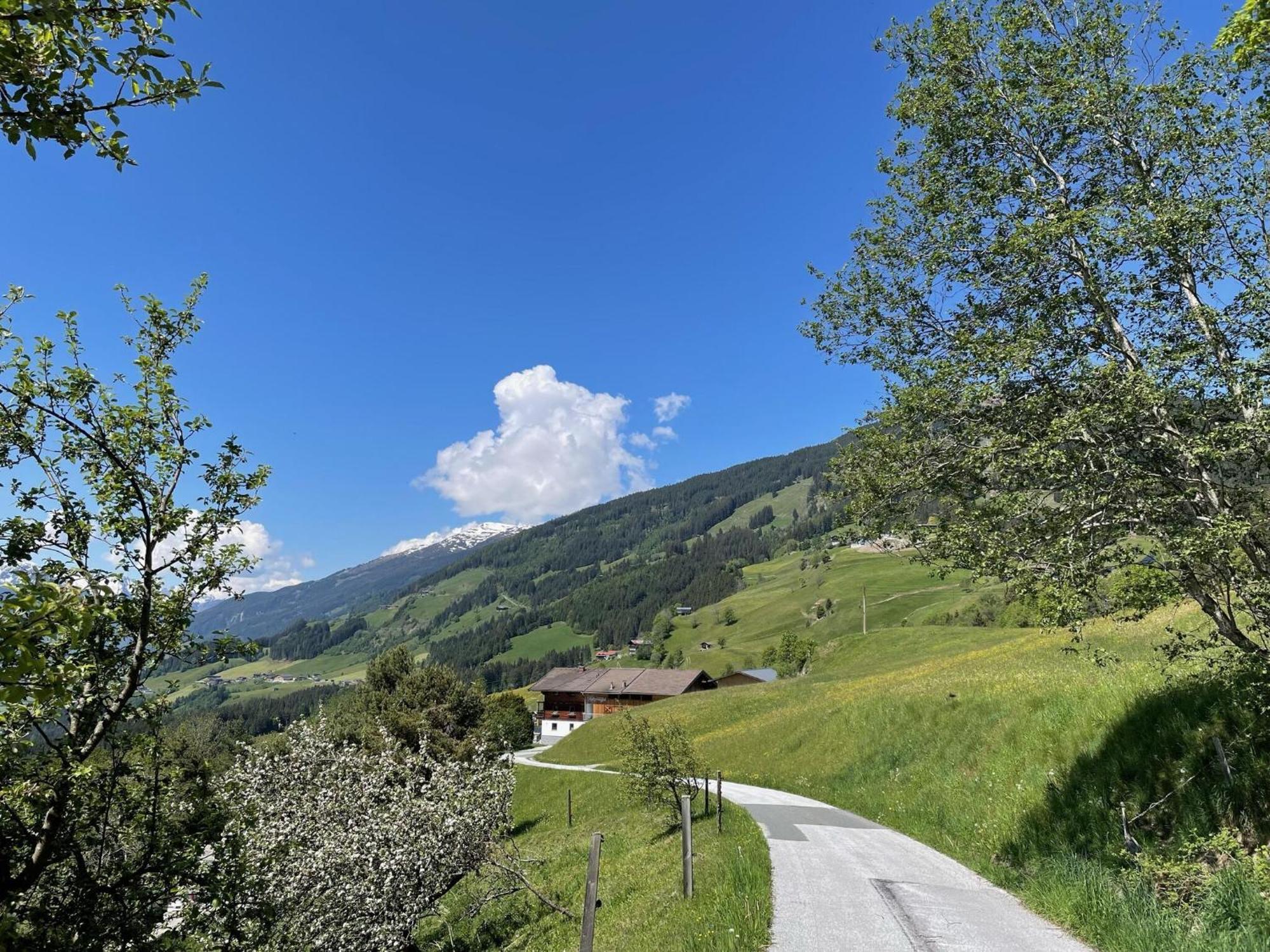Flat Motzerngut,