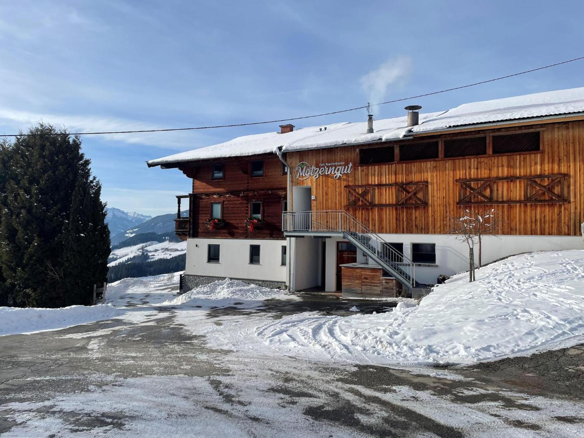 Apartment Flat Motzerngut, Mittersill